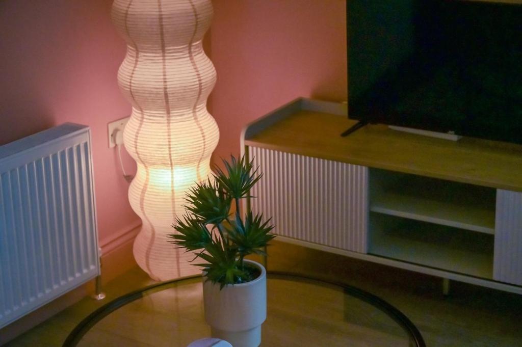 Central Belfast Apartments: Botanic Zewnętrze zdjęcie